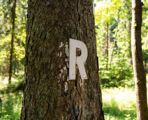 2025_06-08_Schieferhof_Neuhaus_Fotos-80